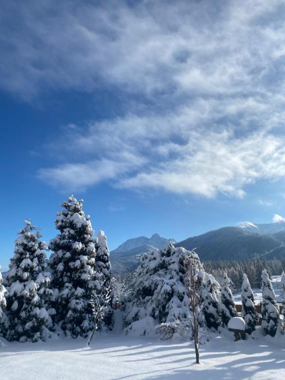 Apartament Groń - 15