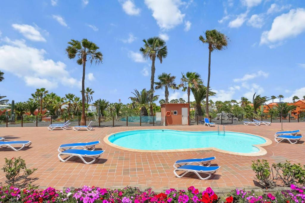 Oasis Royal - One-Bedroom Apartment