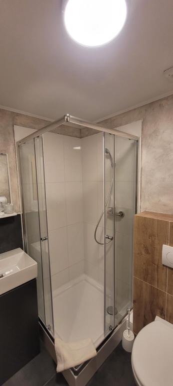 a glass shower in a bathroom with a toilet at Ferdinand Penzion in Moldava nad Bodvou