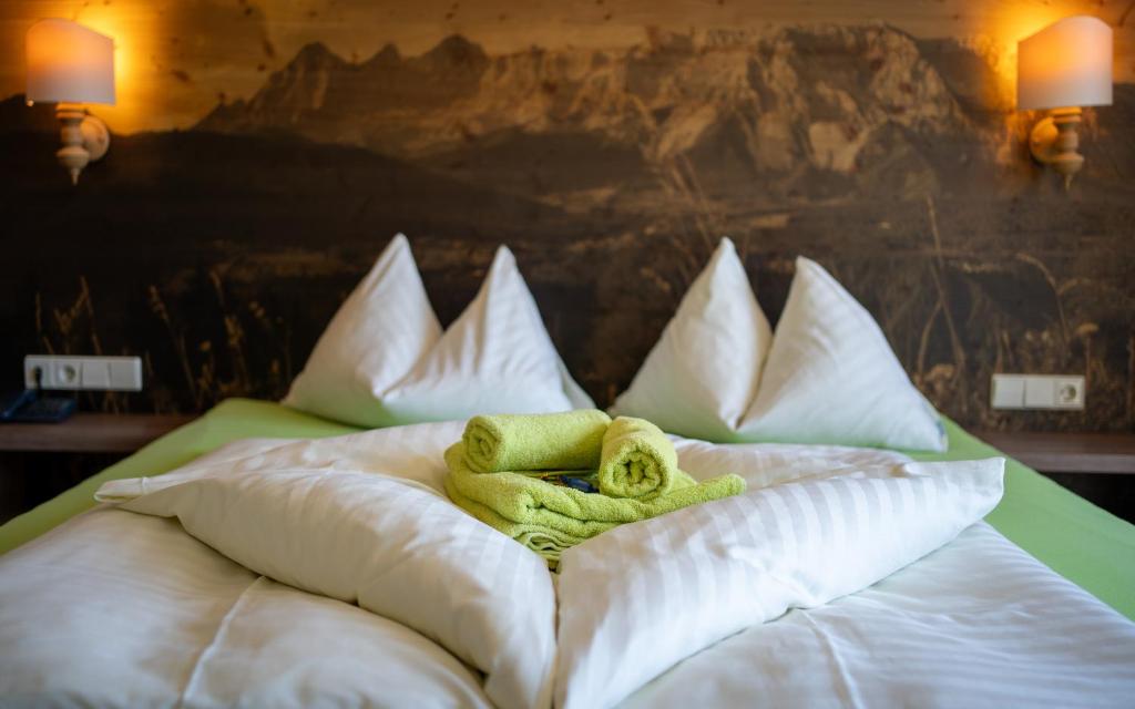 Hotel Ramsaueralm - 9