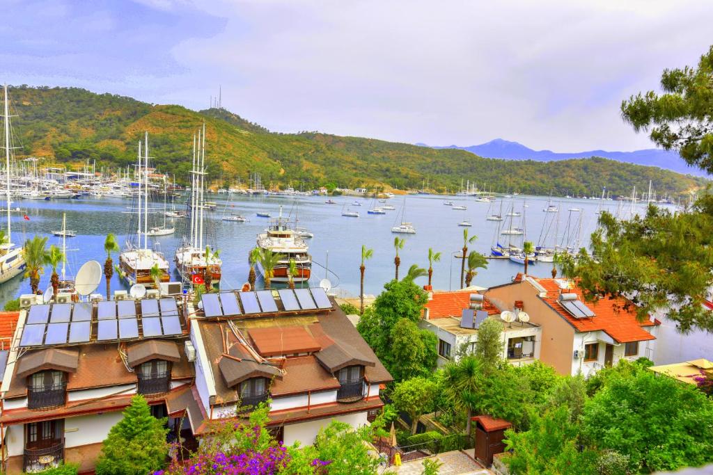 Mykonut Boutique Suites - 1