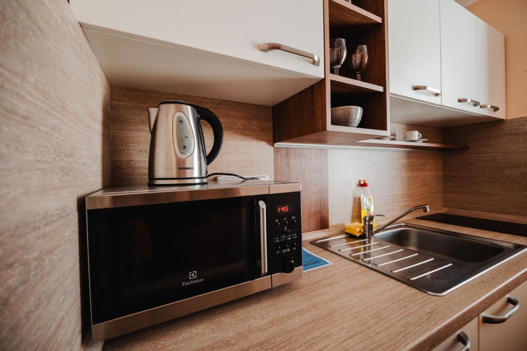 Kuchyň nebo kuchyňský kout v ubytování Hotel Palác Elektra