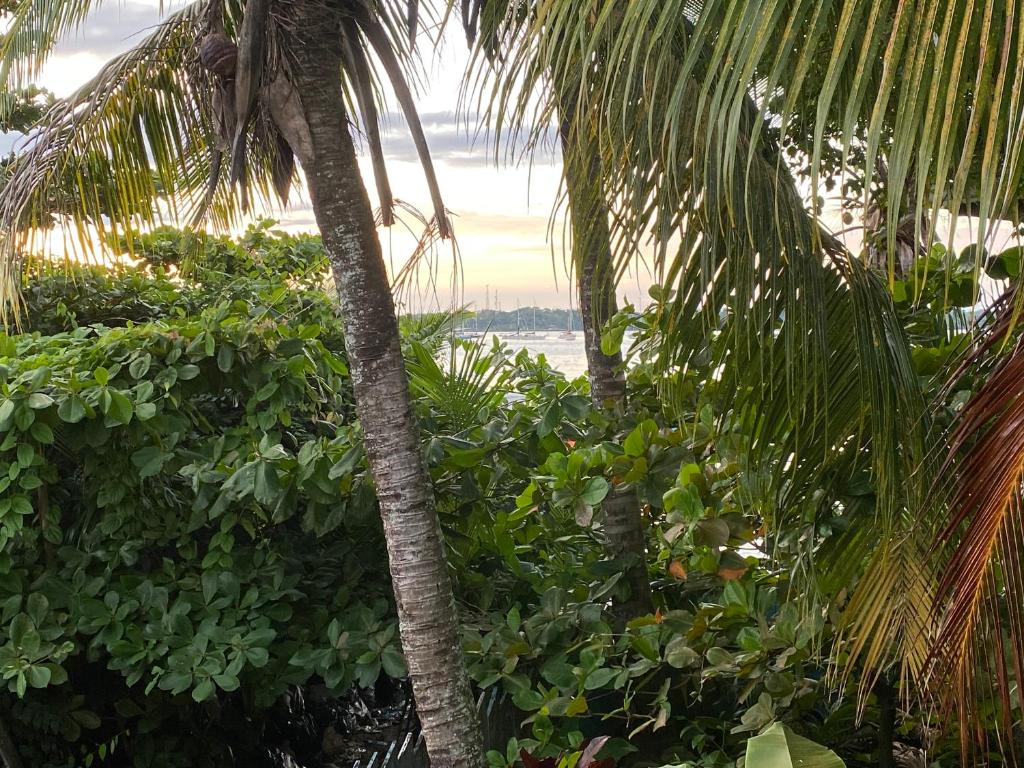 Paesaggio naturale nelle vicinanze della stanza in casa privata