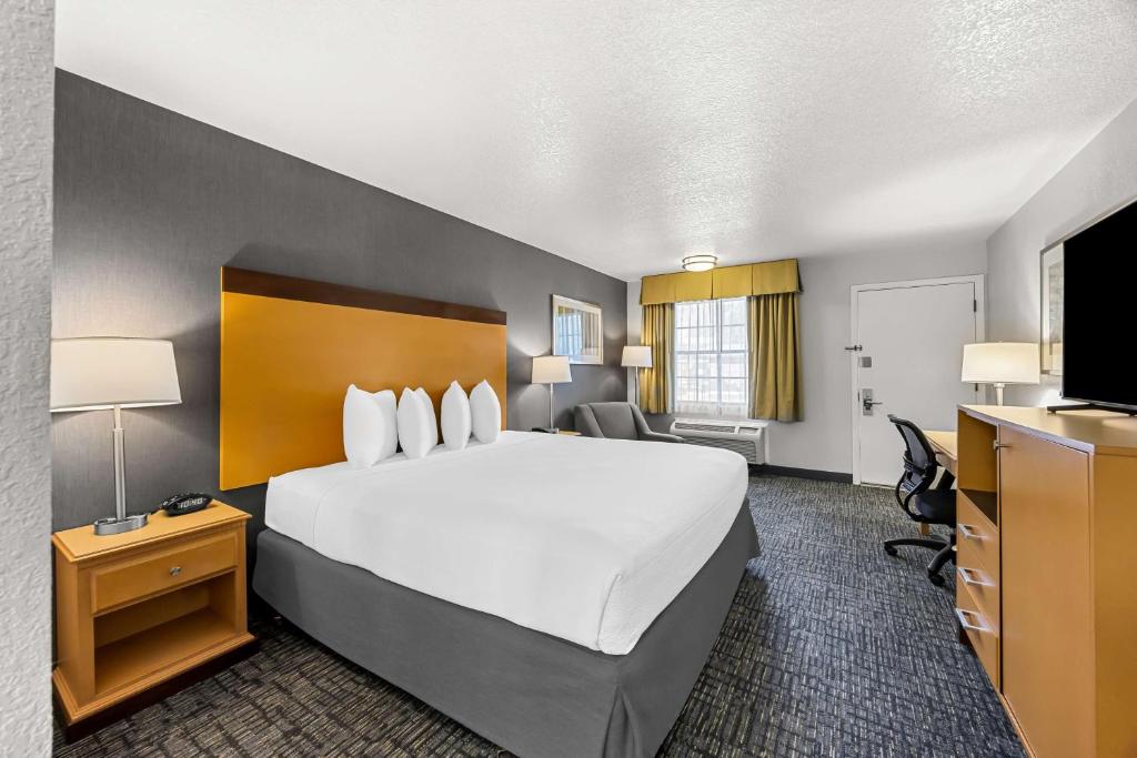 a hotel room with a large bed and a television at Best Western Horizon Inn in Medford