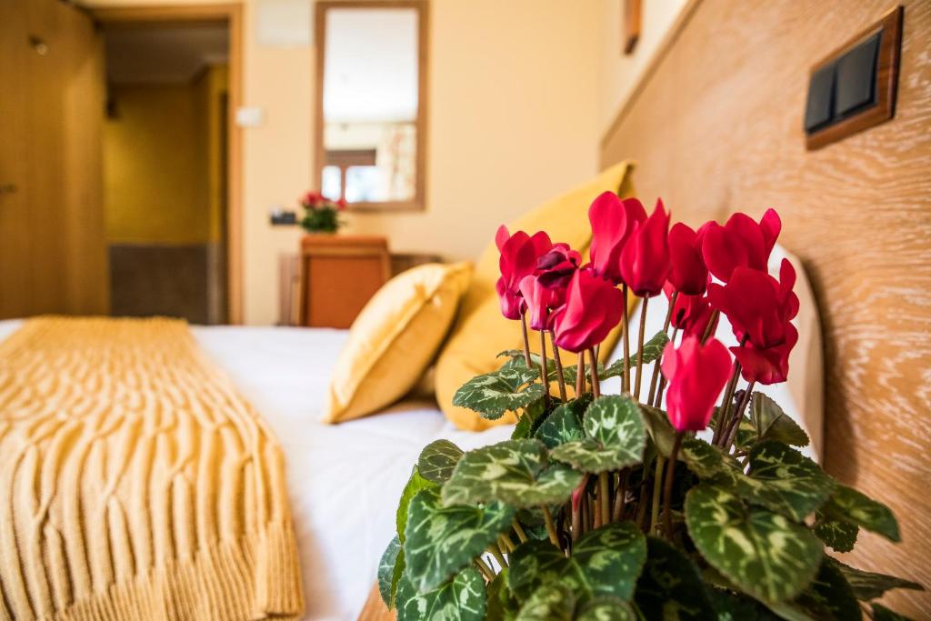 Hotel Casa José Díaz - Habitación Individual