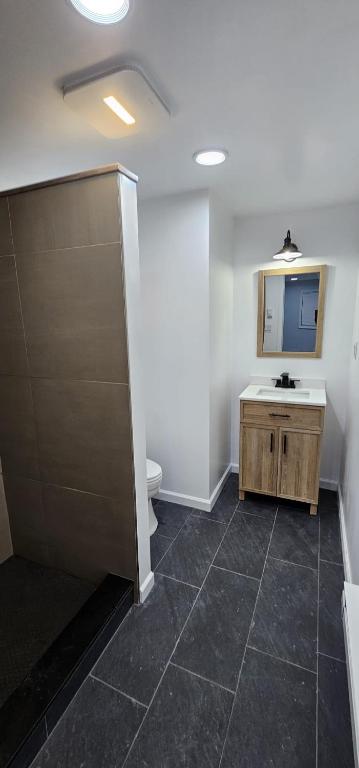 a bathroom with a sink and a toilet and a mirror at Aria Pocono Home in Tobyhanna