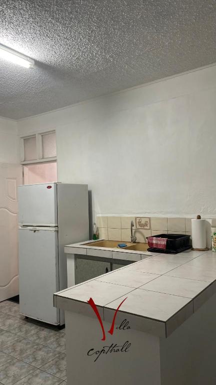 Kuchyň nebo kuchyňský kout v ubytování Villa Copthall