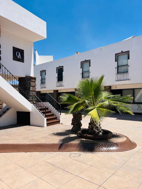 una palmera frente a un edificio en QA Hotel, en San Luis Potosí