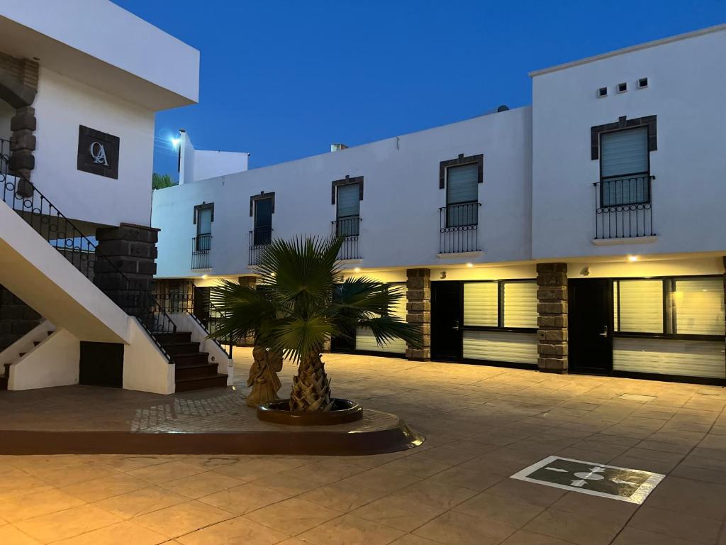 un edificio con una palmera delante de él en QA Hotel, en San Luis Potosí