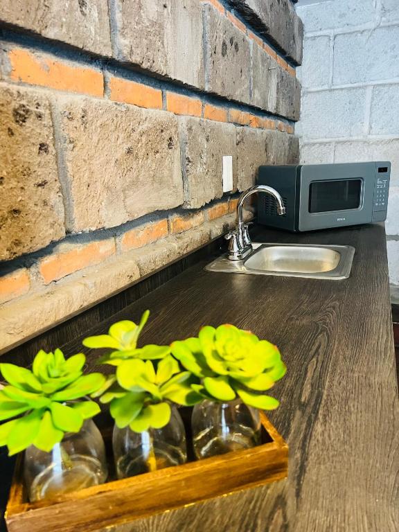 una encimera con fregadero y algunas flores en jarrones en QA Hotel, en San Luis Potosí