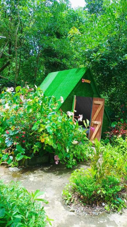 Zahrada ubytování Camping D'Tente Paradise