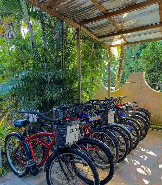 Jízda na kole v ubytování El Clan Hostel nebo okolí