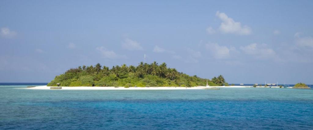 a large body of water with palm trees at Makunudu Island in Makunudhoo