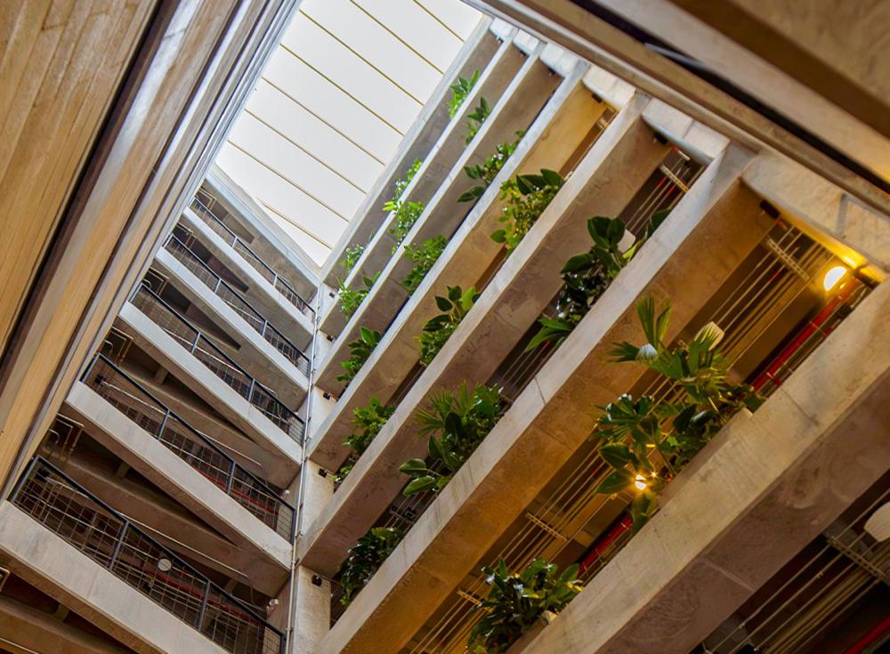 Fotografie z fotogalerie ubytování Cytrico Hotel Laureles Estadio v destinaci Medellín