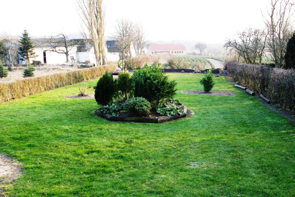 Zahrada ubytování Nice Home In Rudkøbing With 3 Bedrooms And Wifi