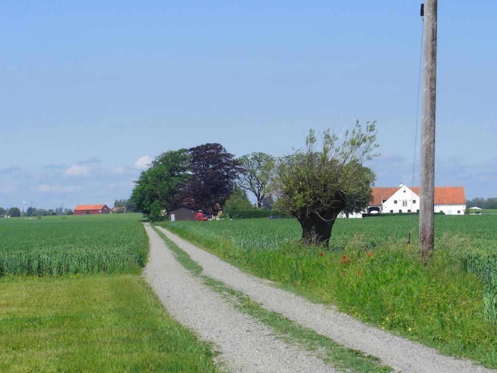 Příroda nedaleko prázdninového domu