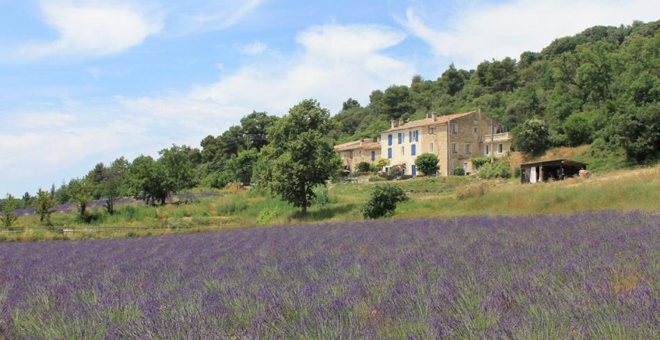 a large house on a hill with a field of lavender at Domaine De Bertrandy in Allemagne-en-Provence