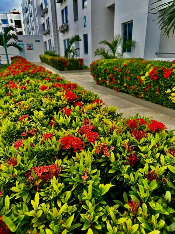 Zahrada ubytování Coveñas Apartamento vacacional caribe campestre 9-502