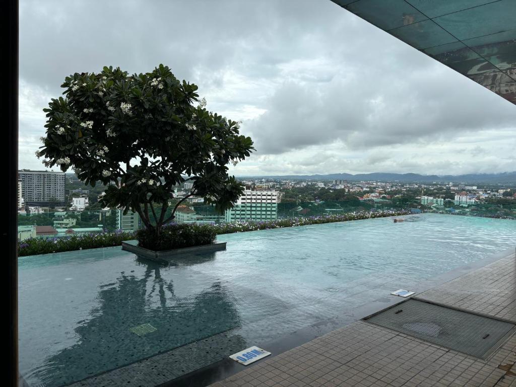 Astra Bee friend Chiangmai - Resim 11