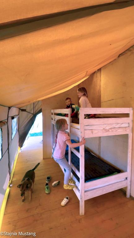 Palanda nebo palandy na pokoji v ubytování Spokojny Glamping