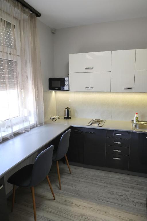 Kuchyň nebo kuchyňský kout v ubytování Hotel Forras