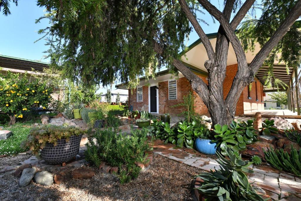 a garden in front of a house with a tree at The Eagle's Nest in Manilla