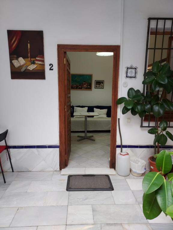 Patio Sevillano Flores