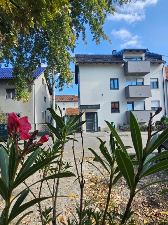 Budova, v ktorej sa apartmán nachádza