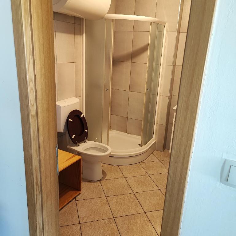 Koupelna v ubytování SOSTANJ VELENJE RAVNE SOBE ROOMS Vrtacnik d o o