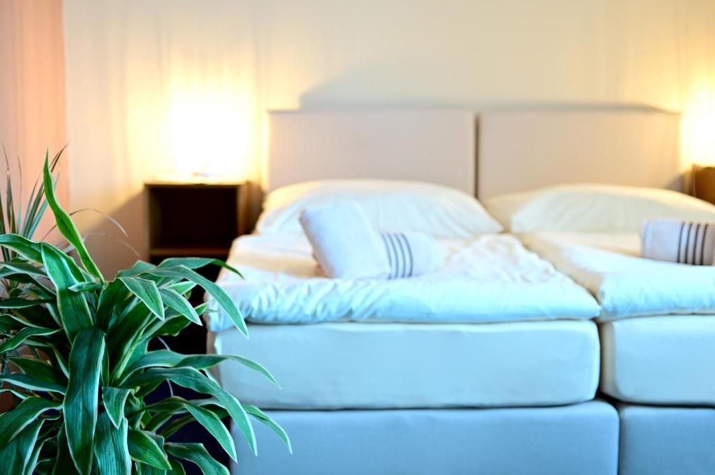 Postel nebo postele na pokoji v ubytování Hotel Classic