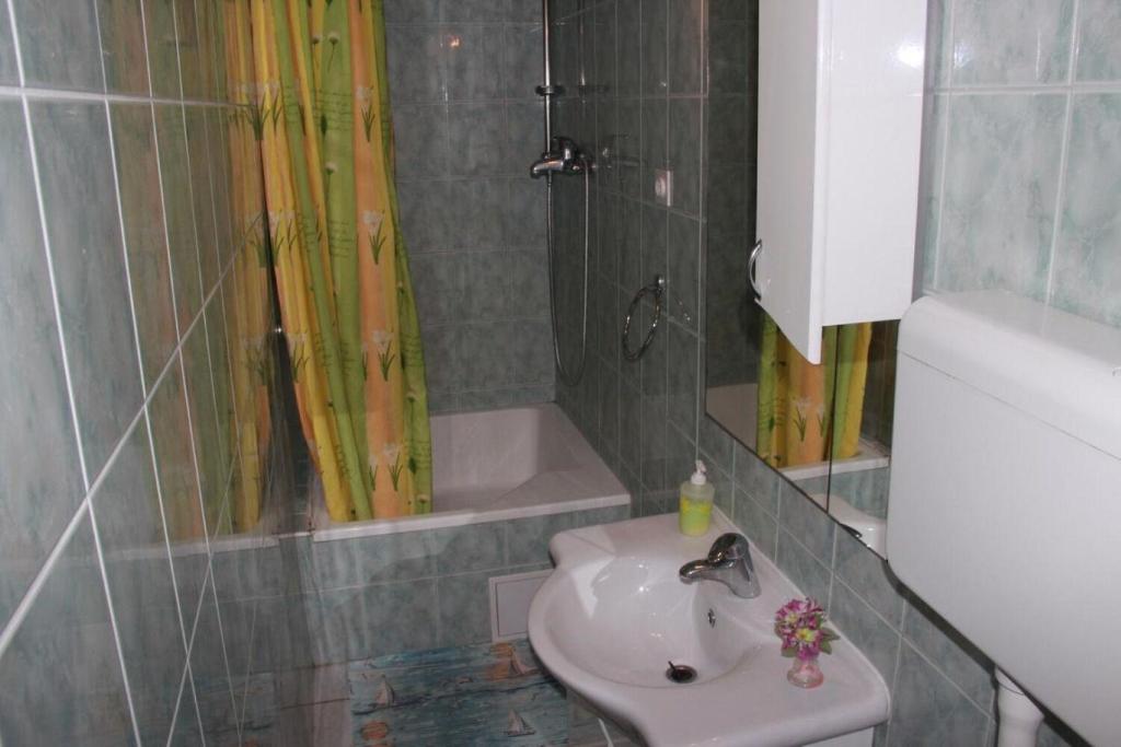 Kúpeľňa v ubytovaní Apartment Brane
