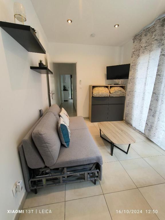 un salon avec un canapé et une table dans l'établissement Maisonnette avec jardin, à Colomiers