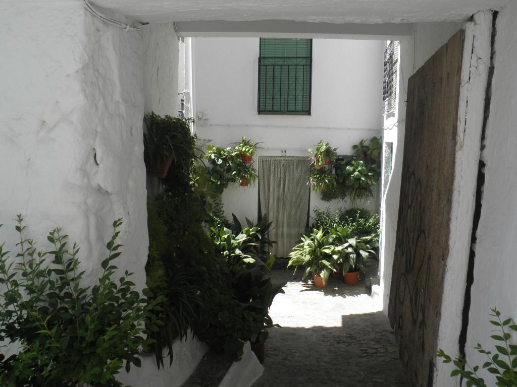 Zahrada ubytování Hotel Juan Francisco