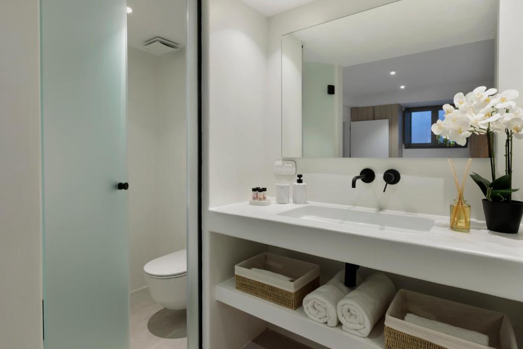 un bagno con lavandino, water e specchio di Vivant Naousa Residence 1 a Naoussa