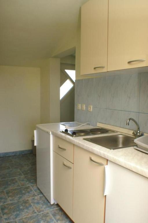Kuchyňa alebo kuchynka v ubytovaní Apartments Barry