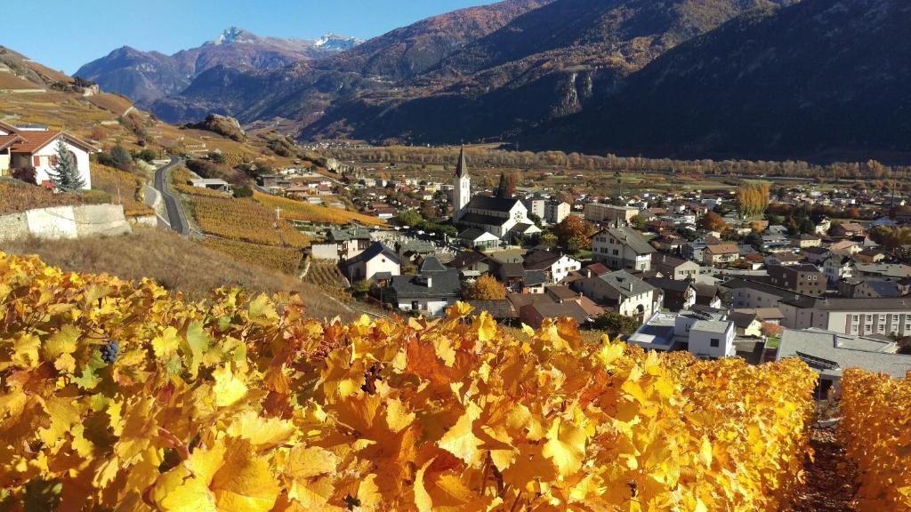 een groep herfstbladeren op een heuvel met een stad bij Guesthouse Petit Pré in Saint-Léonard