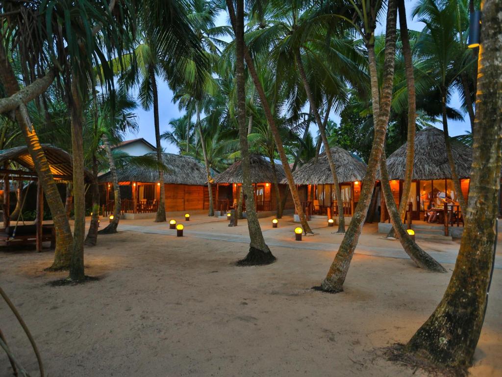 un complejo en la playa con palmeras y luces en Thejan Beach Cabanas, en Bentota