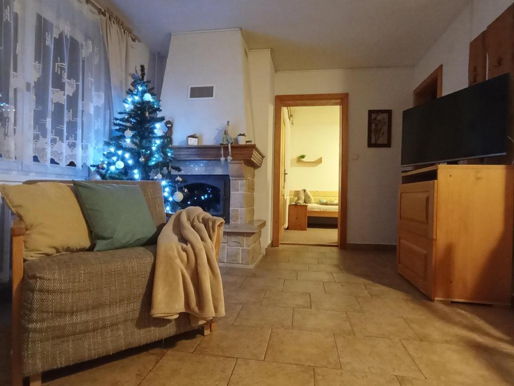 TV a/nebo společenská místnost v ubytování Apartments Ľubka
