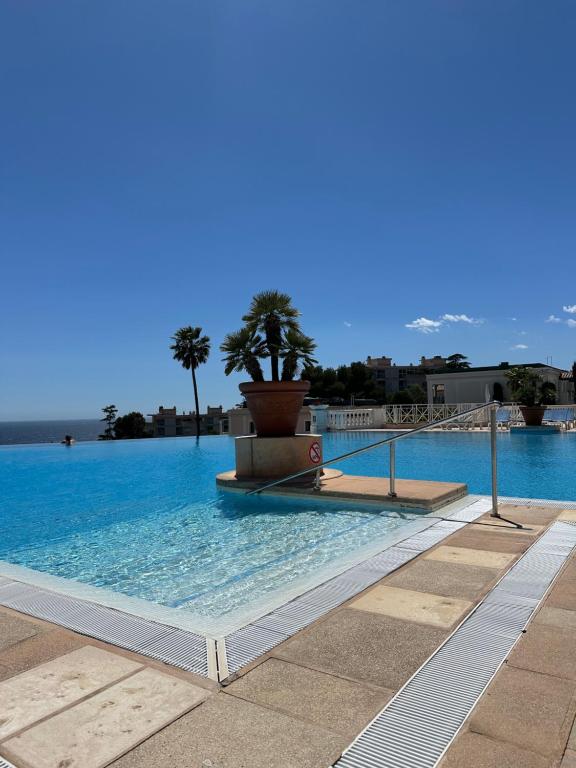 une grande piscine avec de l'eau bleue et des palmiers dans l'établissement Villa Francia Cannes, à Cannes