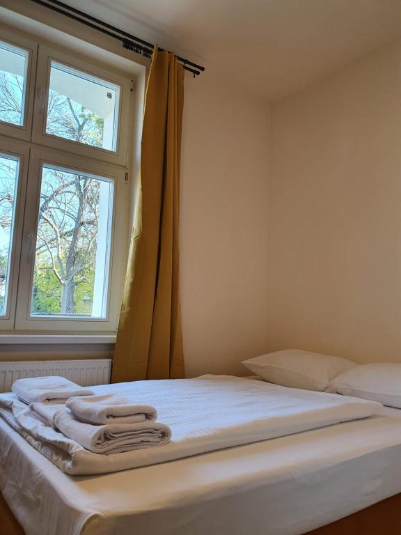 
One-Bedroom Premium Apartment
