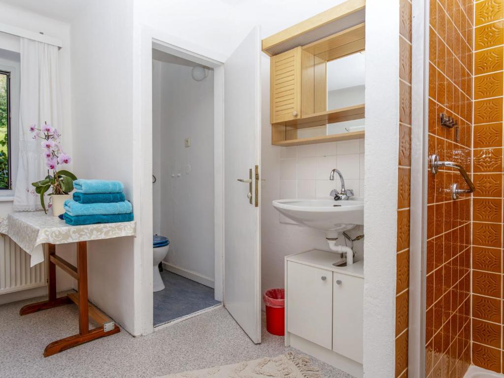 Koupelna v ubytování Apartment Carla by Interhome