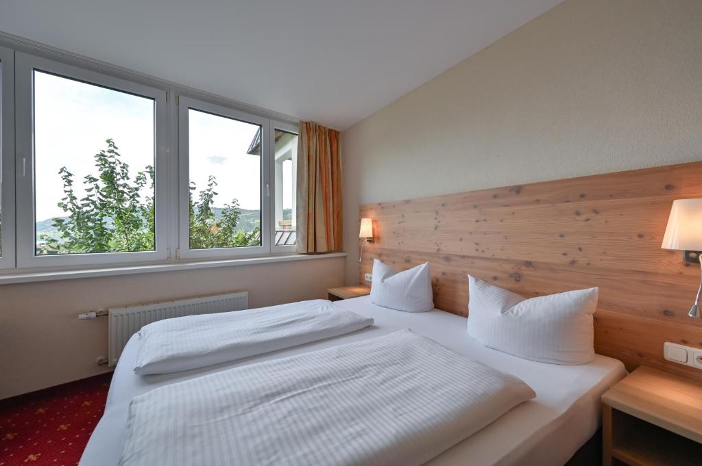Rothenfels Panorama Hotel - Suite With Lake View