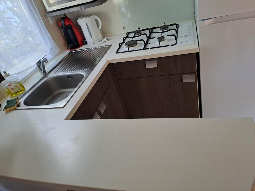 Kuchyň nebo kuchyňský kout v ubytování mobile home 047