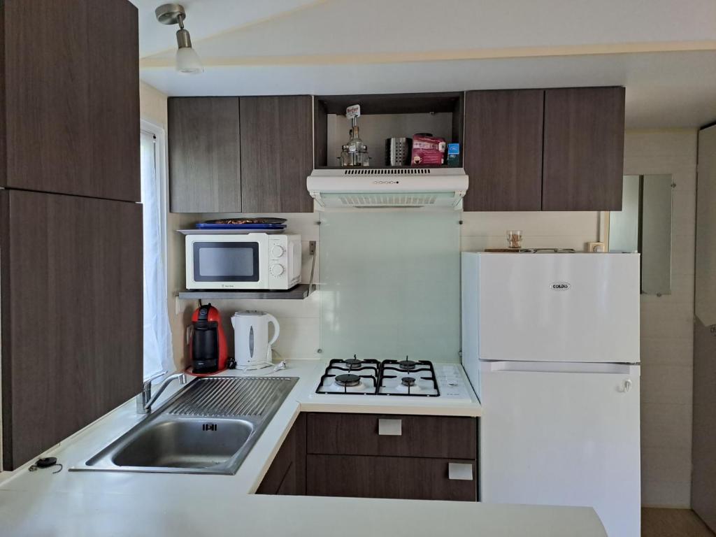 Kuchyň nebo kuchyňský kout v ubytování mobile home 047