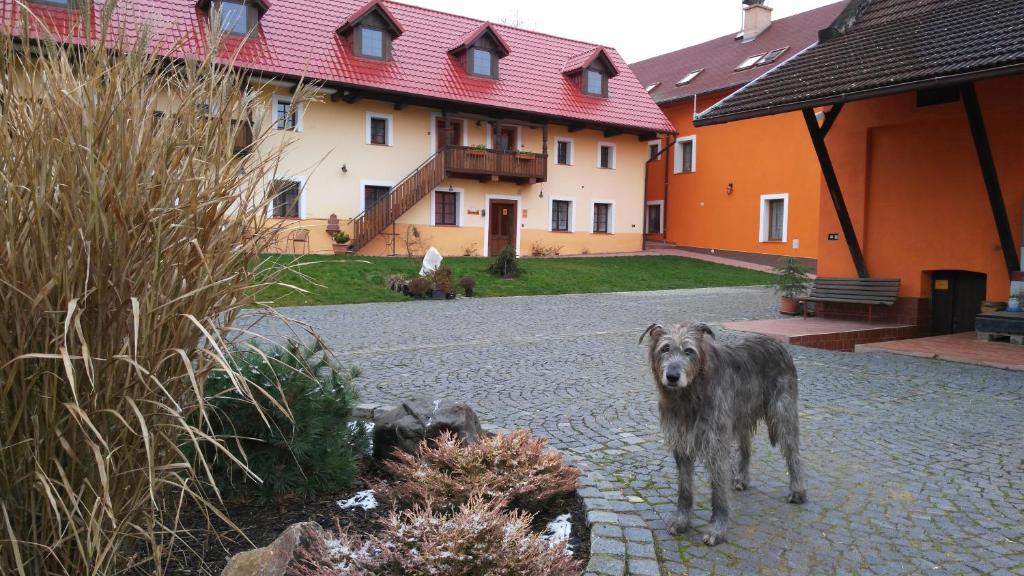 Fotografie z fotogalerie ubytování Podřipská Farma v destinaci Roudnice nad Labem
