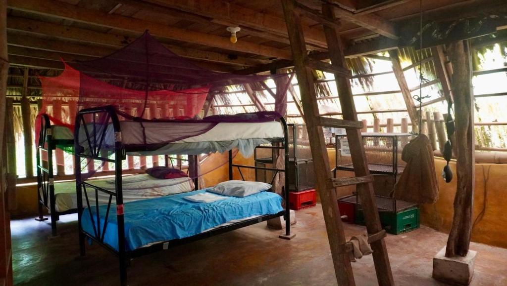 El Zopilote - Single Bed In Dormitory Room