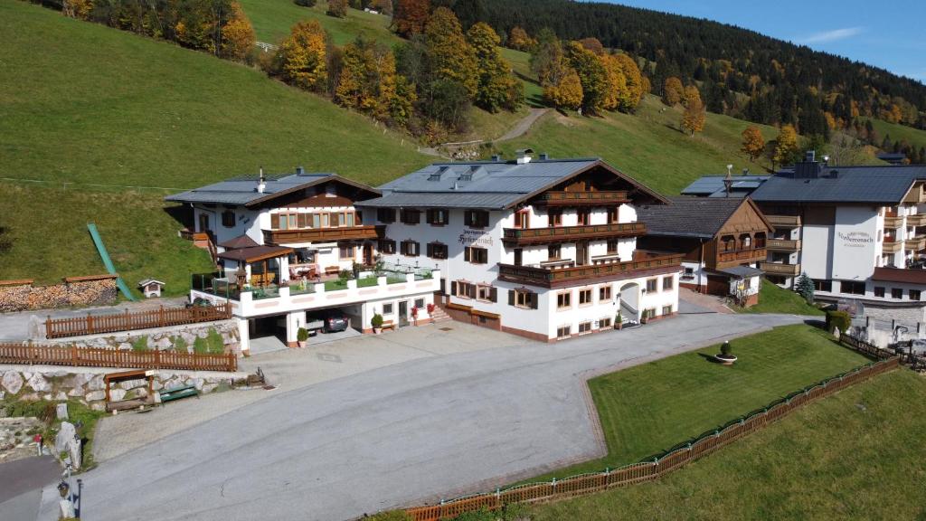 Příroda nedaleko hostelu