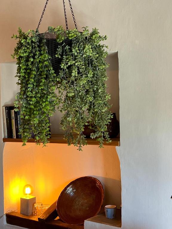 Bed&Breakfast Al Campanario - 6