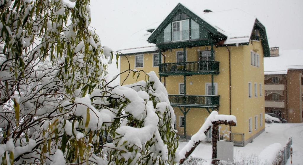 Riedz Apartments Innsbruck- Zentrales Apartmenthaus mit grüner Oase - 12