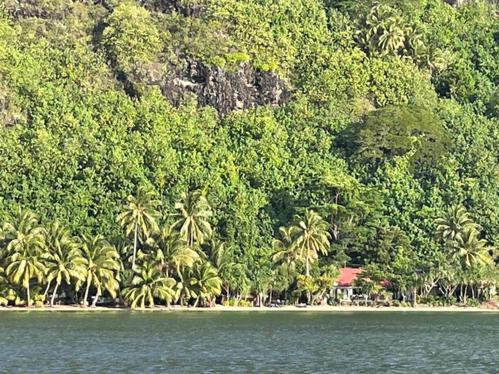 Te Fitii Garden & Beach - photo 11 - Huahine, Polynésie